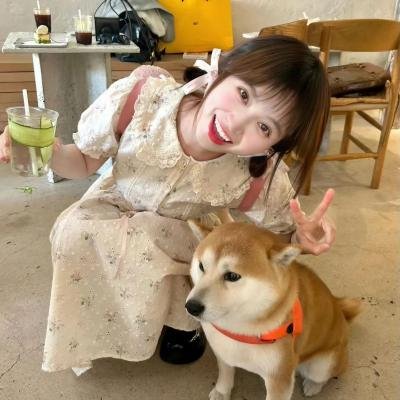 大唐女法医